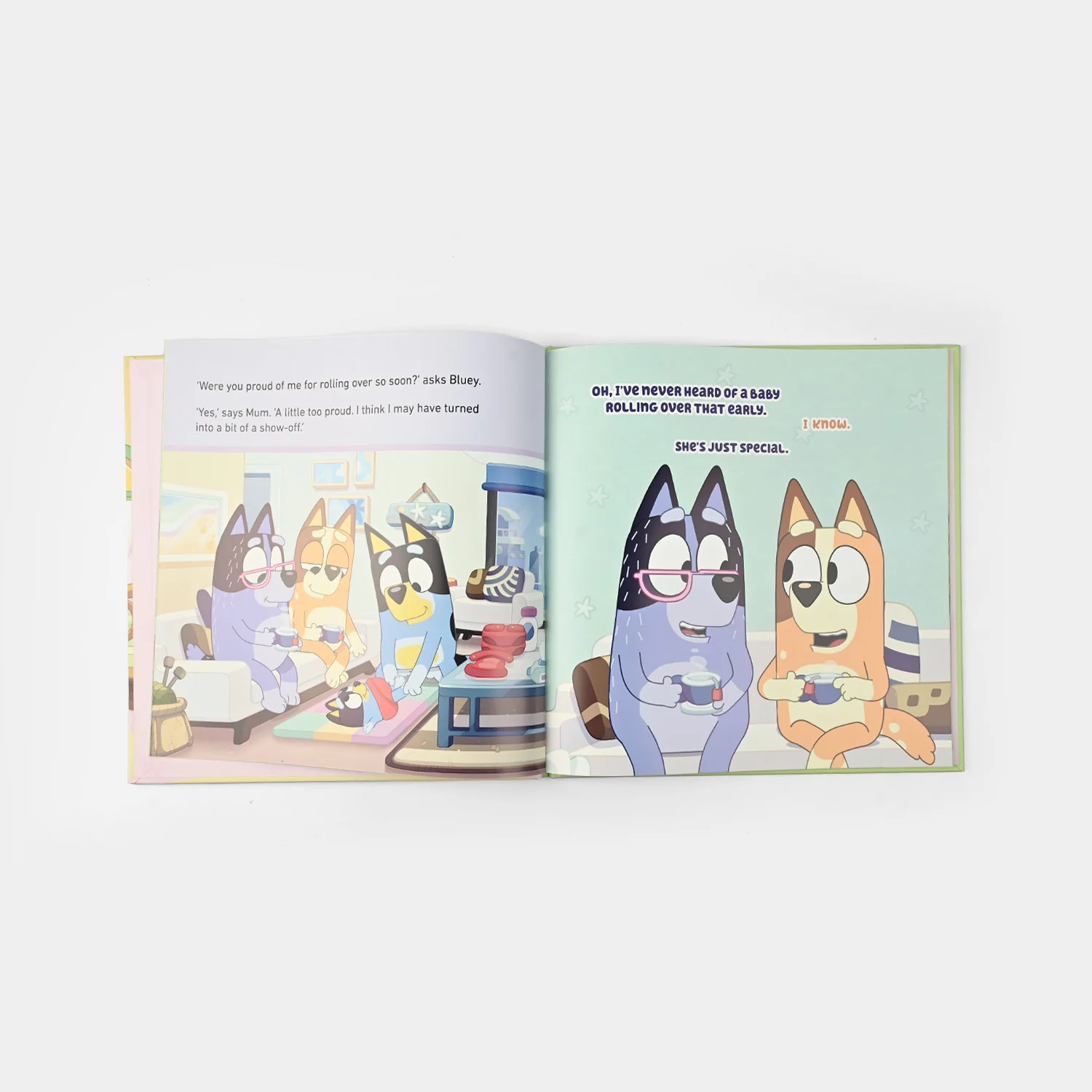 Bluey Daddy Putdown Story Book - Image 3