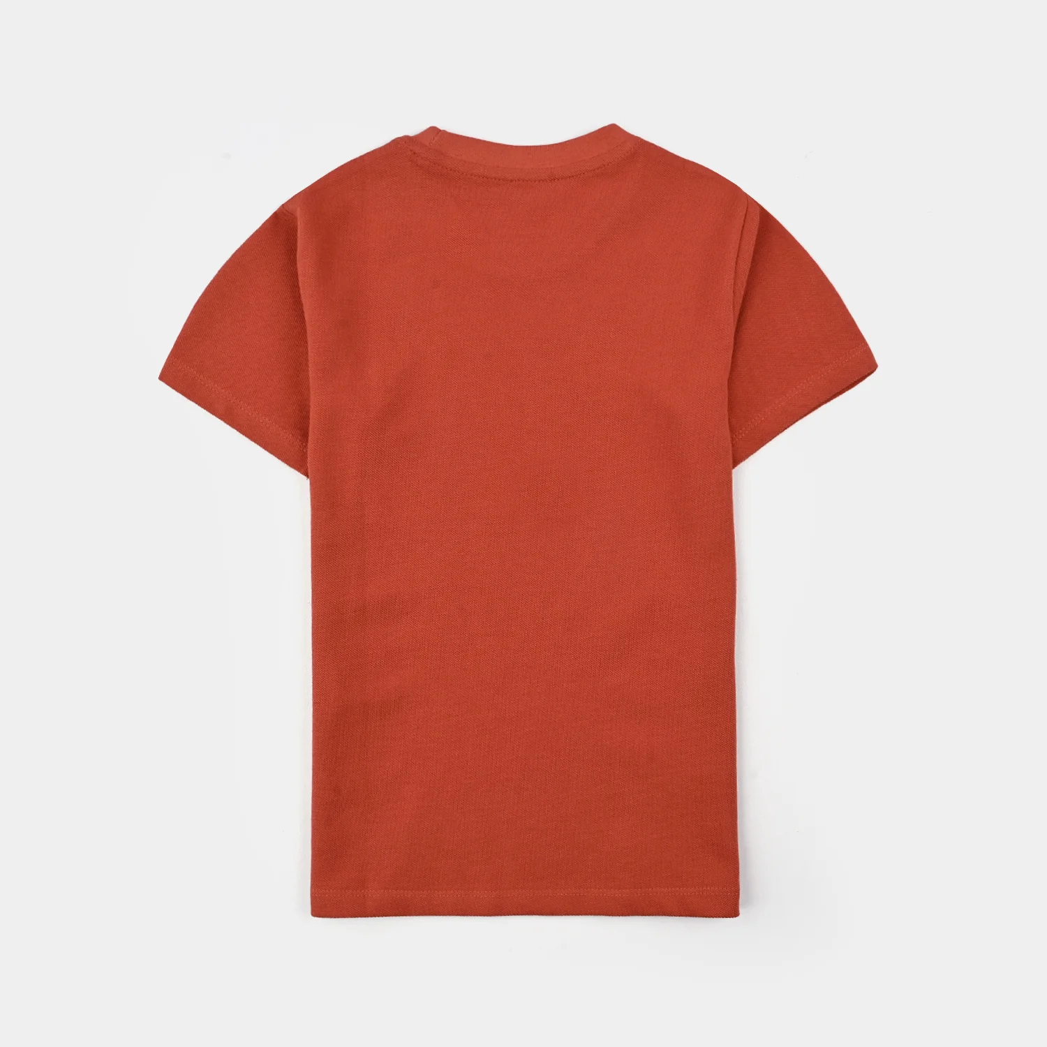 Boys Jumbo Pique T-Shirt H/S Dinosaur - Burnt Orange - Image 4