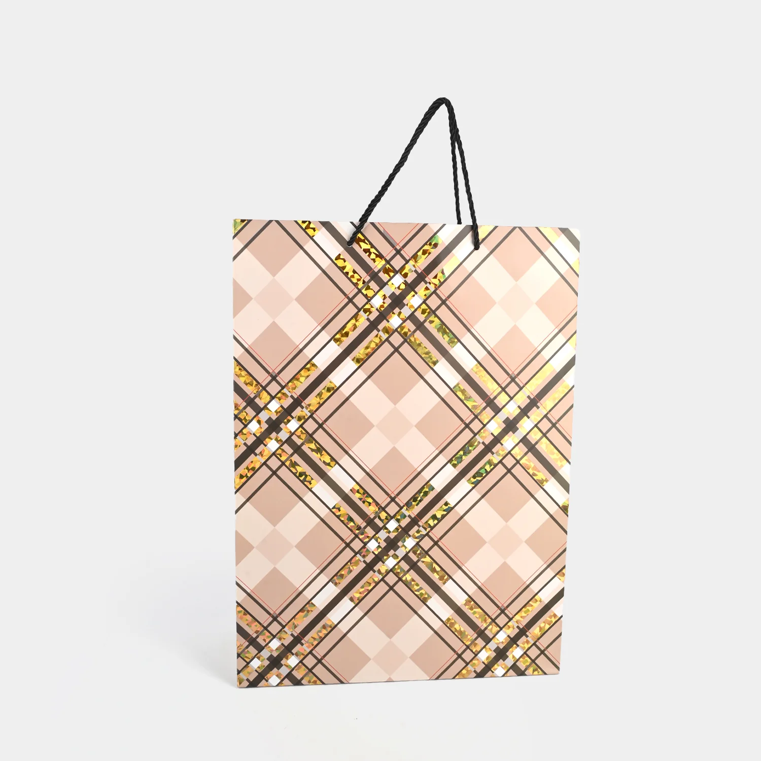 Stylish Gift Bag | Large - Image 2