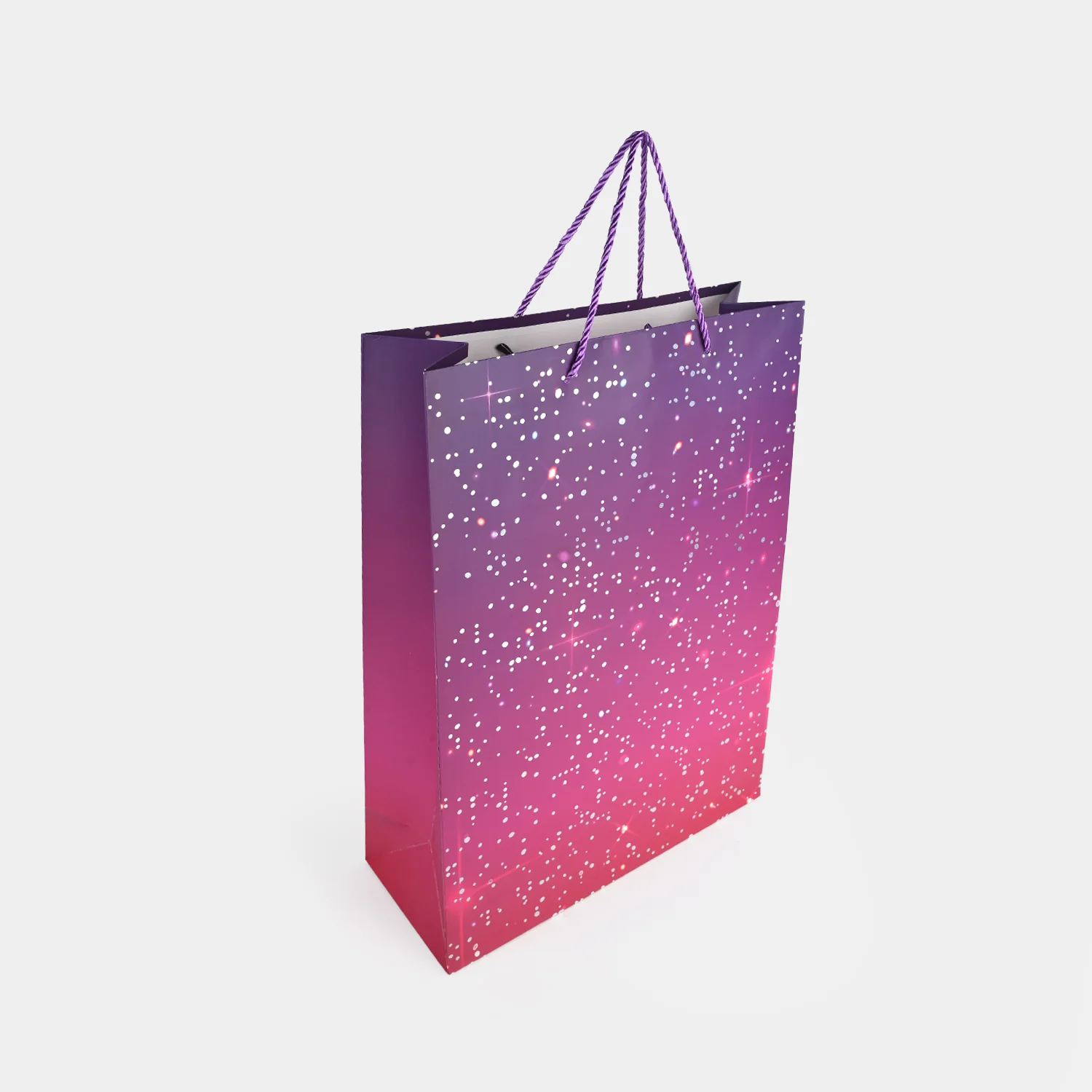 Stylish Gift Bag | Large