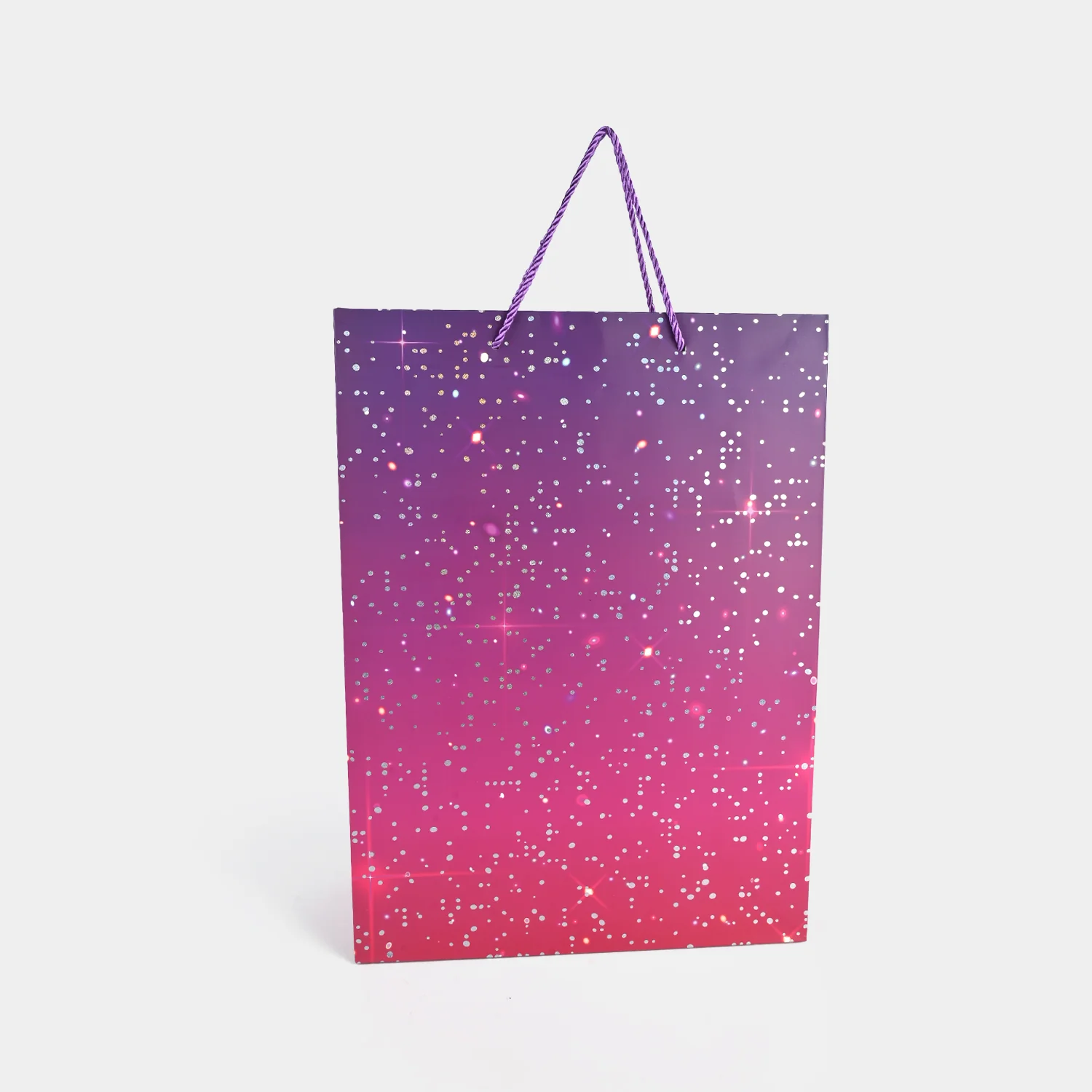 Stylish Gift Bag | Large - Image 2