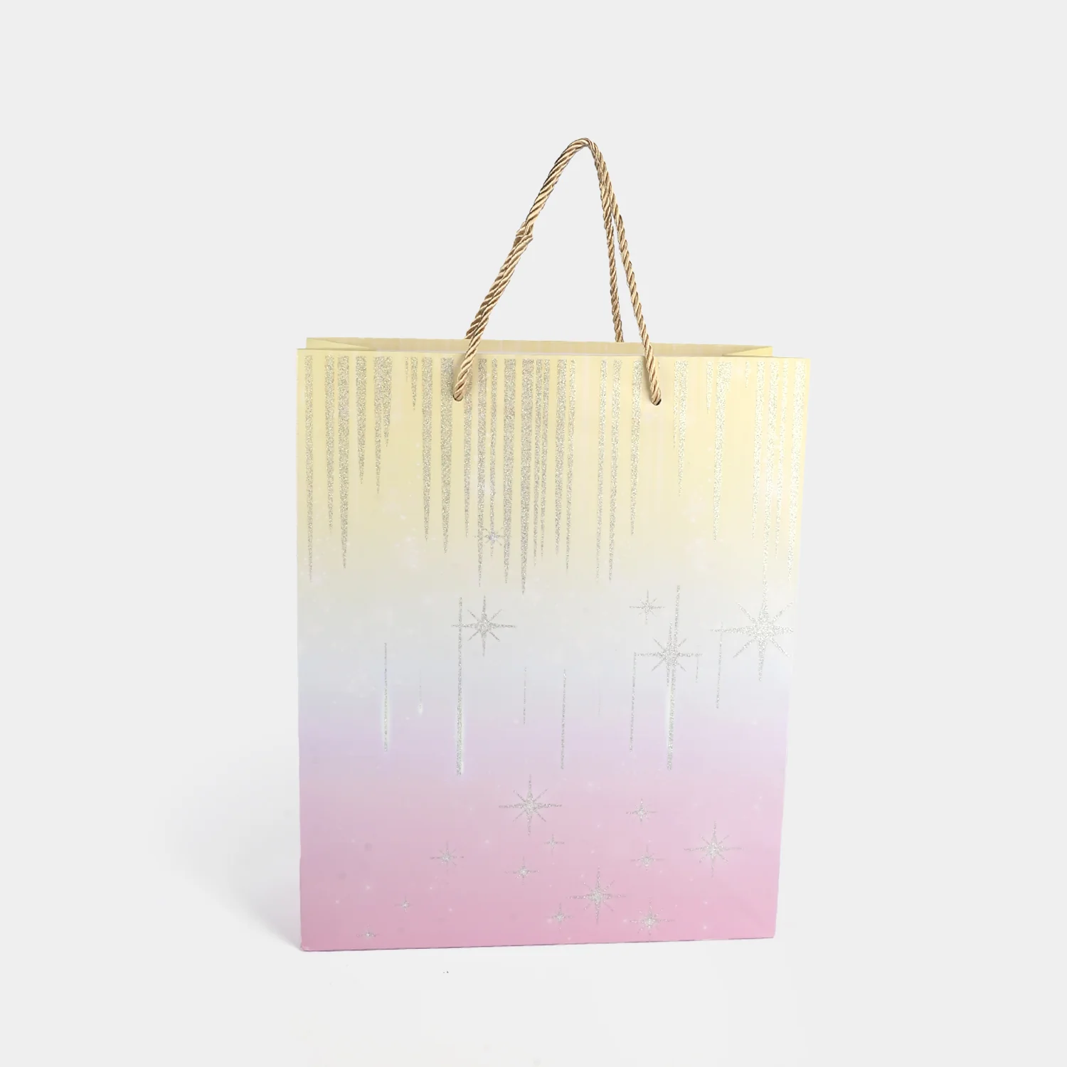 Stylish Gift Bag | Medium - Image 2