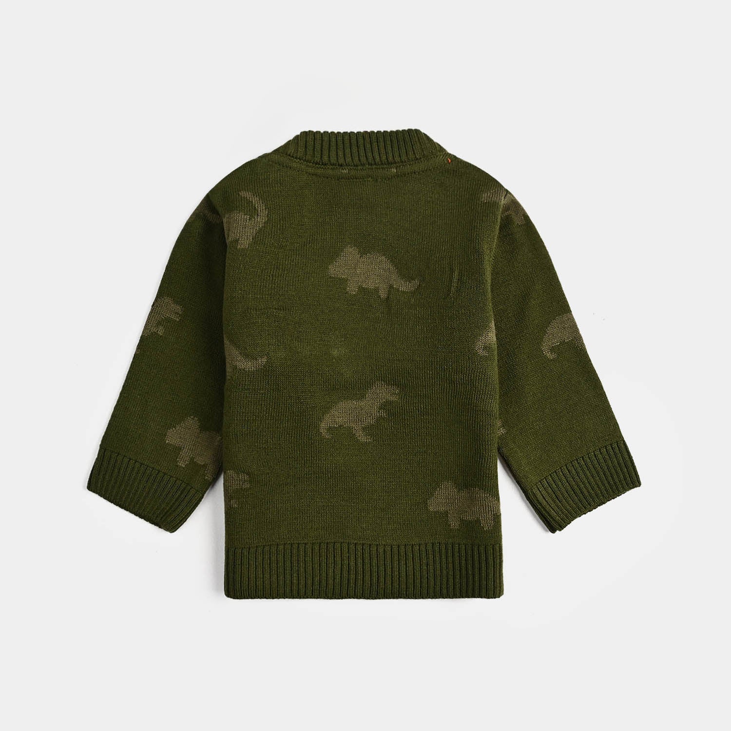 Infant Boys Acrylic Sweater-Roar - Green - Image 3