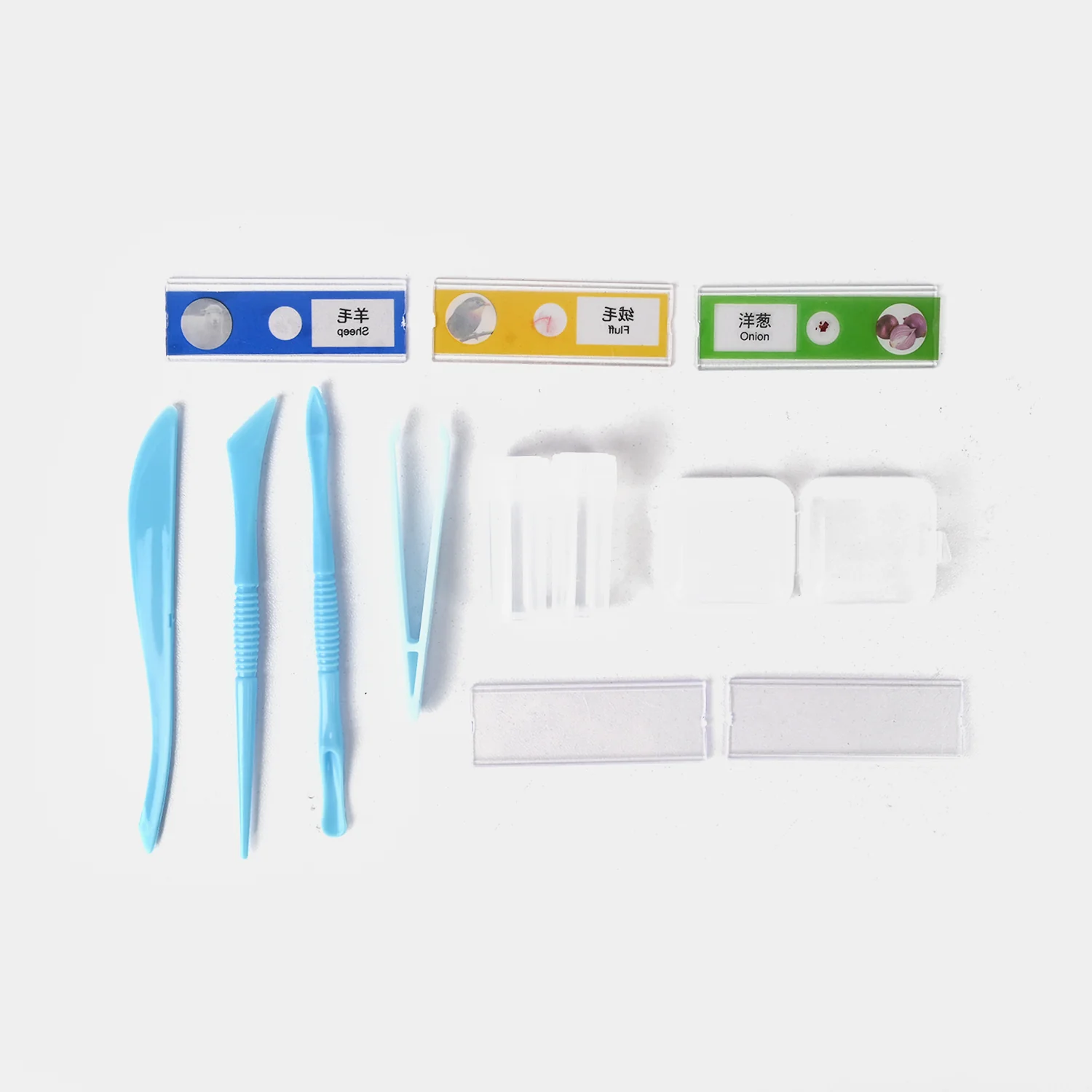 Kids Science Microscope – 100x/600x/1200x Magnification Educational Set - Image 6