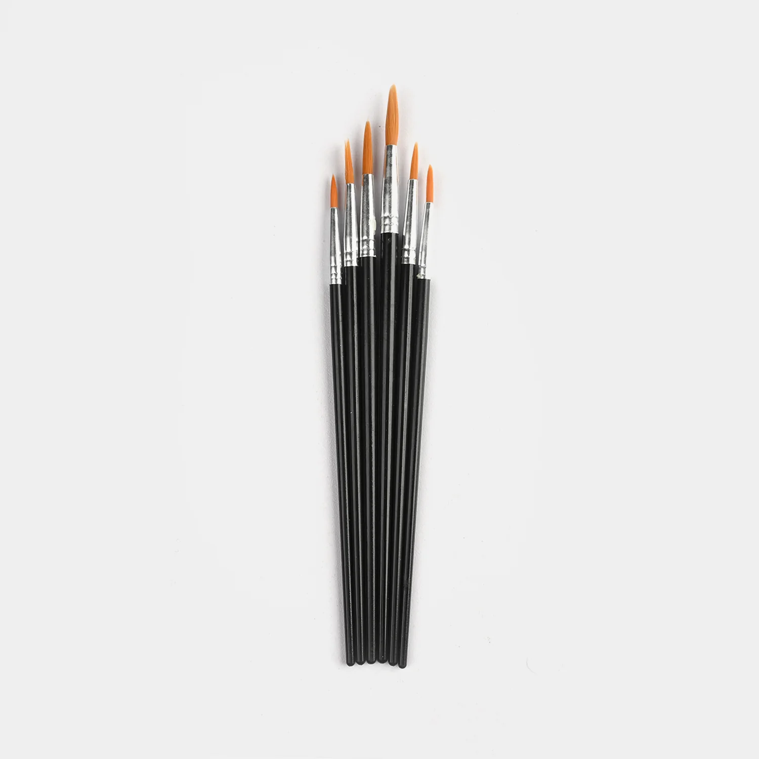 Artist Painting Brush Set | 6Pcs