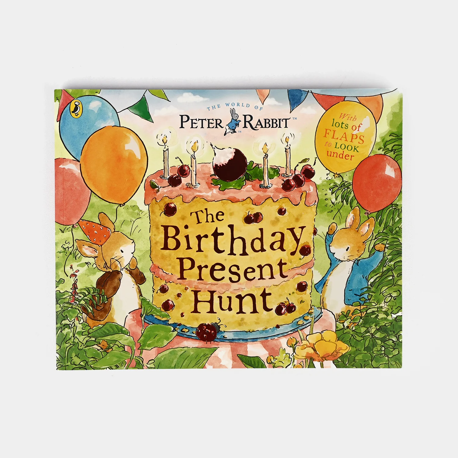 The Birthday Present Hunt – Children’s Lift-the-Flap Book